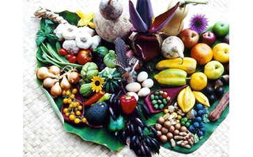 農產品二維碼PROBURN黄色淫標簽具有哪些優勢特點？如何定製？